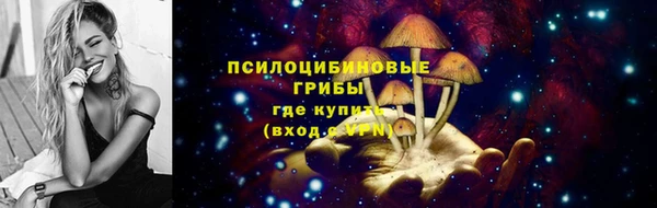 не бодяженный Арсеньев