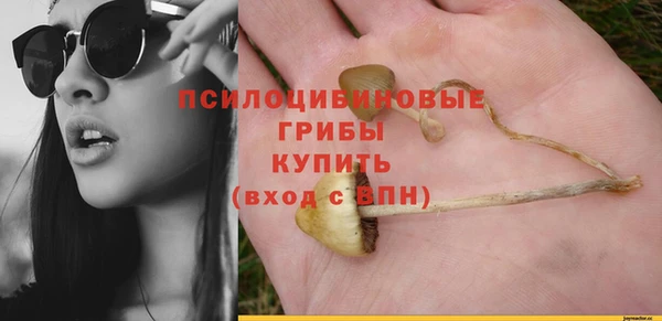 не бодяженный Арсеньев