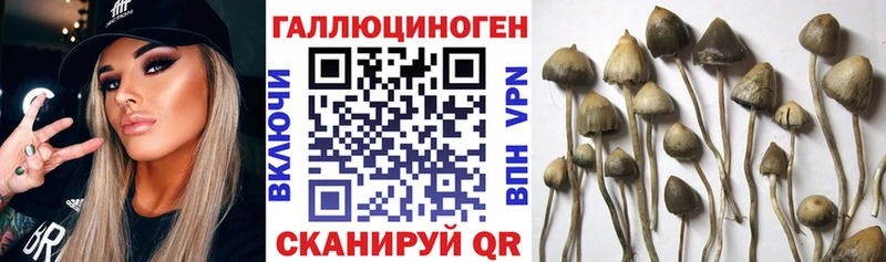 Псилоцибиновые грибы прущие грибы  купить  цена  Вихоревка 